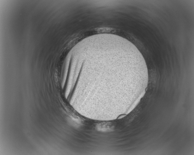 X0000080120761200612302010