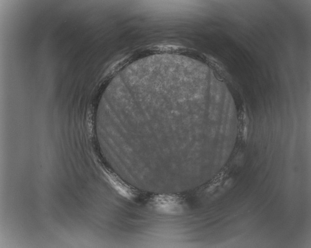 X0000080120762200612302010