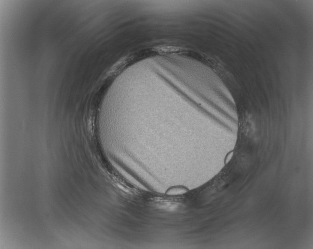 X0000080120763200612302010