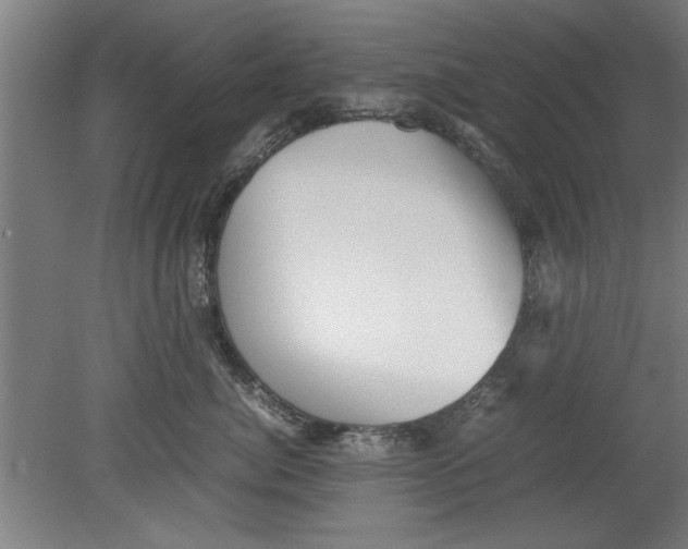 X0000080120764200612302010