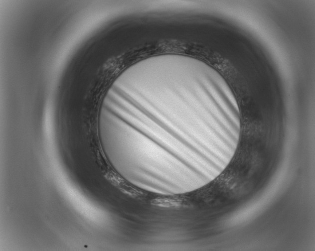 X0000080120765200612302010