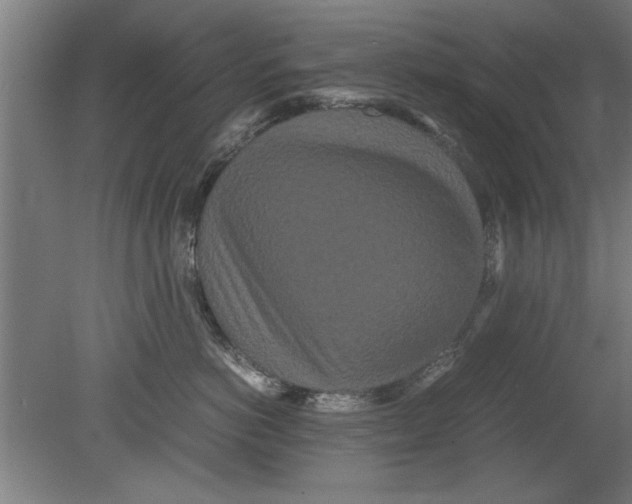 X0000080120766200612302010