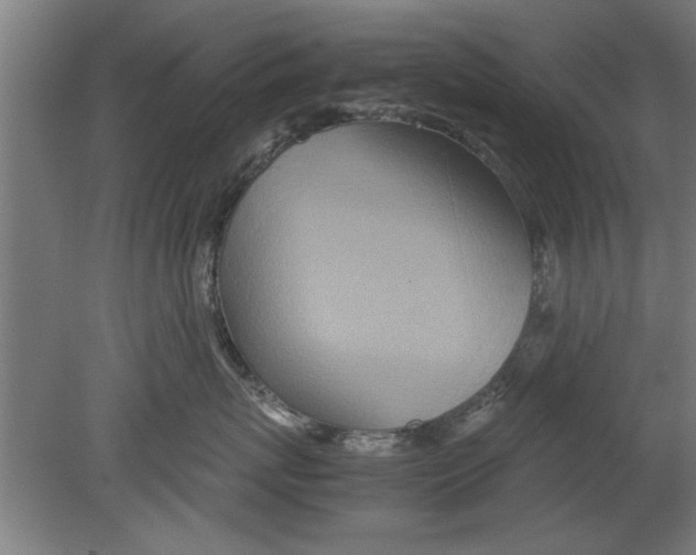 X0000080120767200612302010