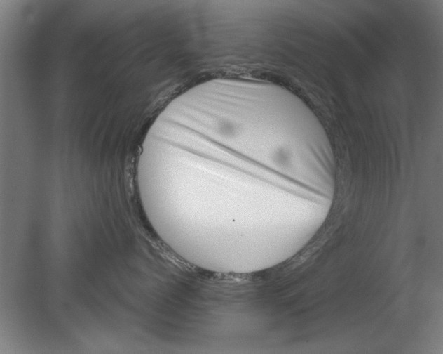 X0000080120768200612302010