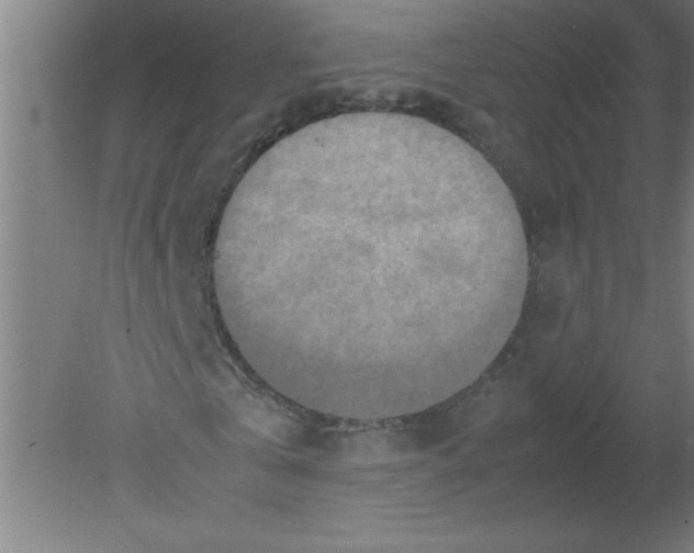 X0000080120769200612302009