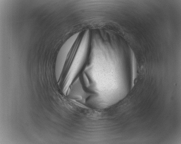 X0000080120772200612302009