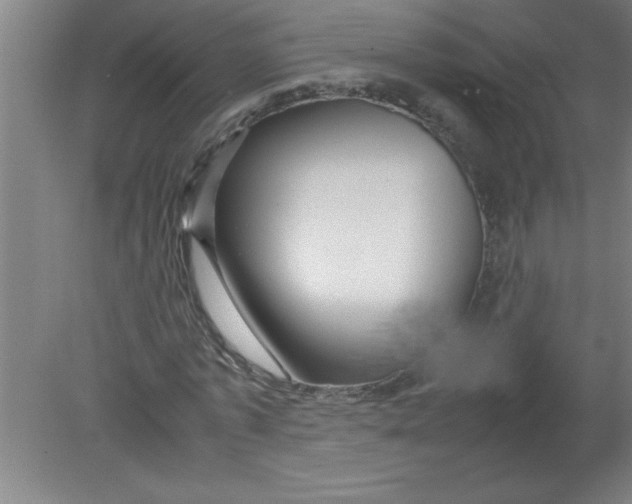 X0000080120773200612302009