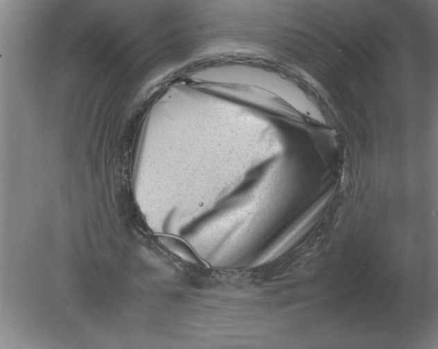 X0000080120775200612302009