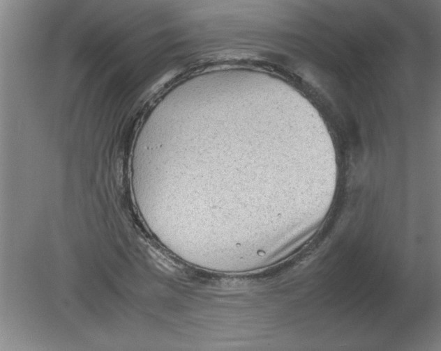 X0000080120777200612302009