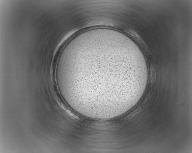 X0000080120780200612302009