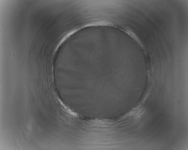 X0000080120781200612302009