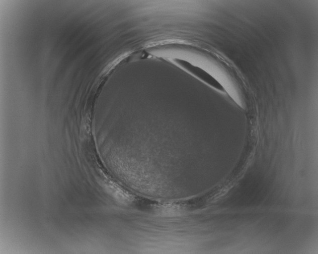 X0000080120785200612302009