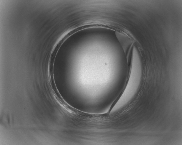 X0000080120788200612302009