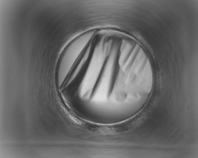 X0000080120789200612302009