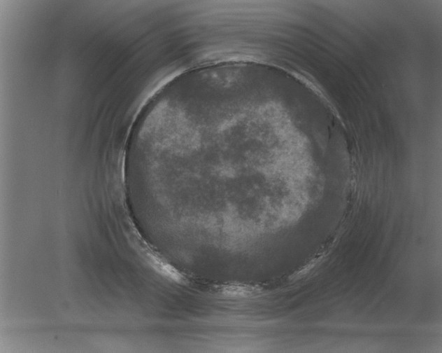 X0000080120790200612302009