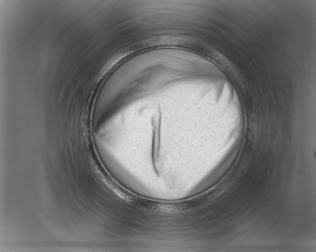 X0000080120794200612302009