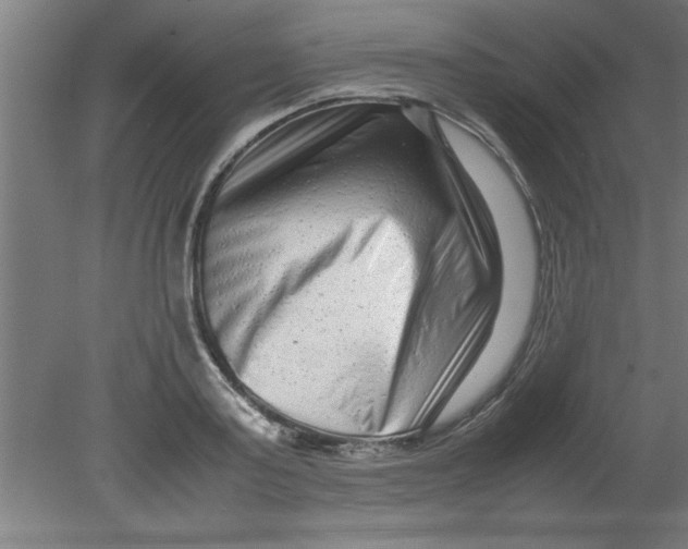 X0000080120795200612302009