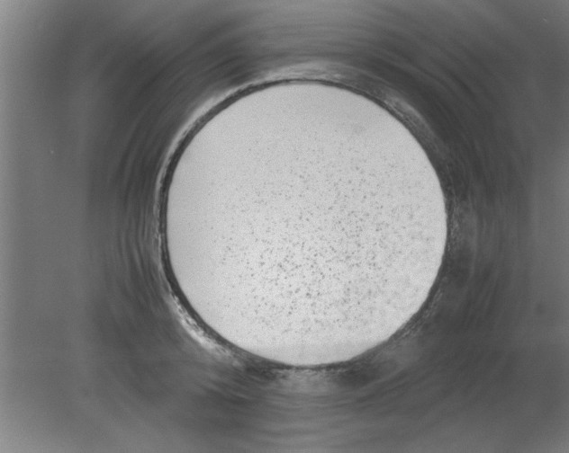 X0000080120800200612302009