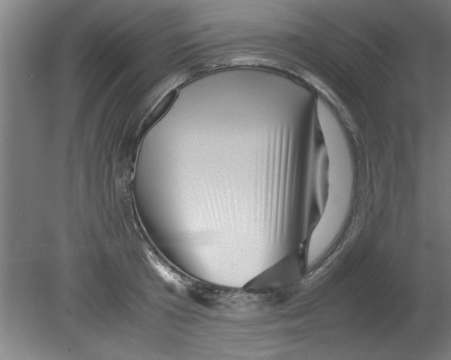 X0000080120801200612302009