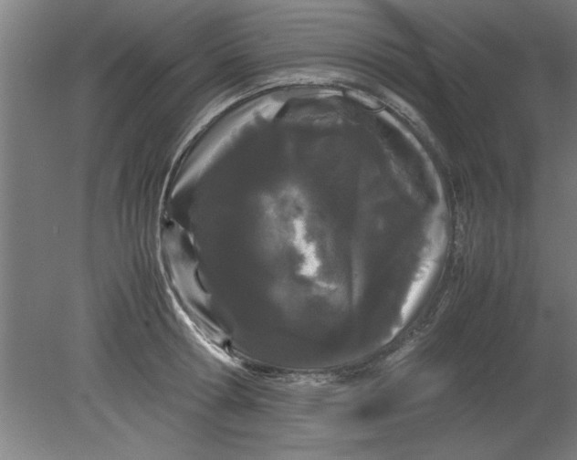 X0000080120802200612302009