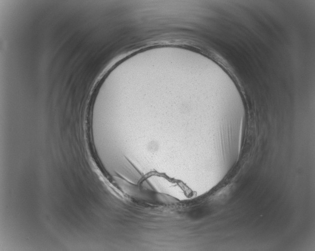 X0000080120803200612302009