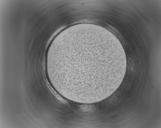 X0000080120804200612302009