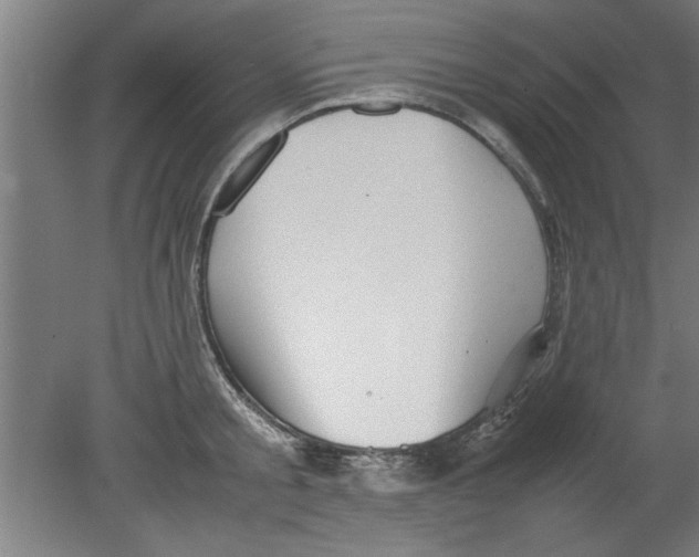 X0000080120805200612302009