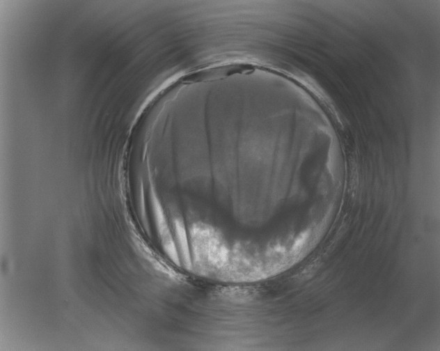 X0000080120806200612302009