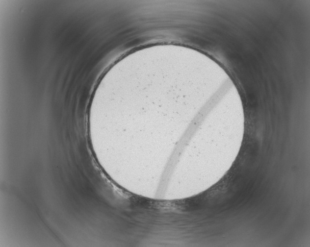 X0000080120807200612302009