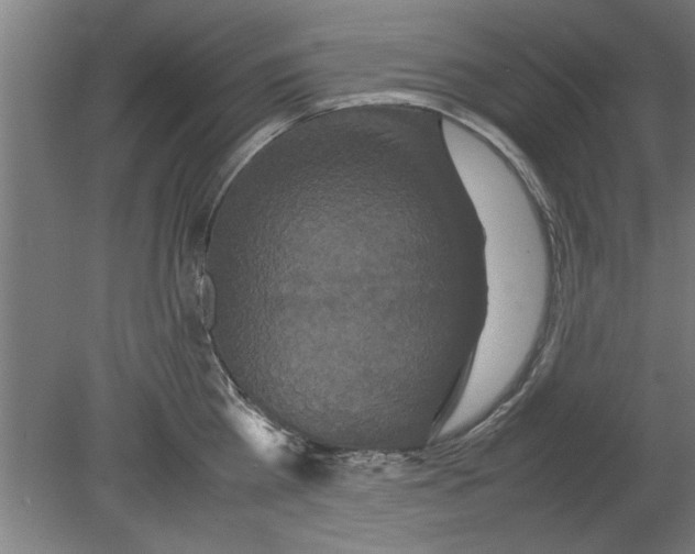 X0000080120809200612302009