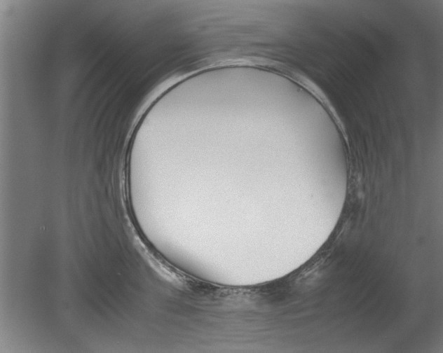 X0000080120811200612302009