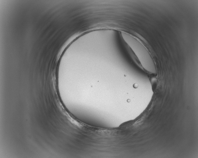 X0000080120812200612302008