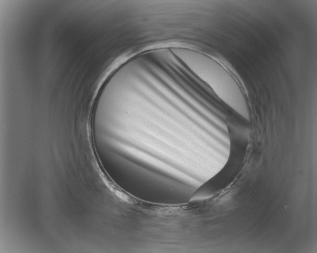 X0000080120813200612302008