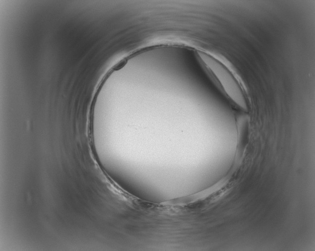 X0000080120815200612302008