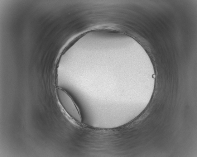 X0000080120816200612302008