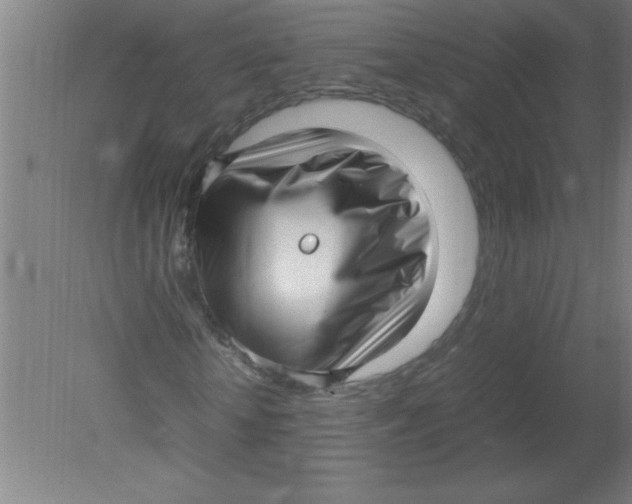 X0000080120818200612302008