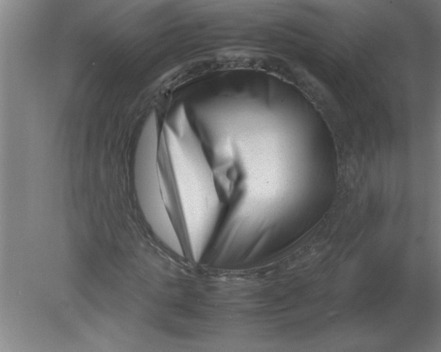 X0000080120821200612302008