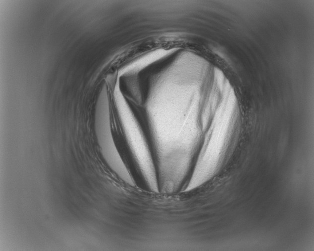 X0000080120823200612302008