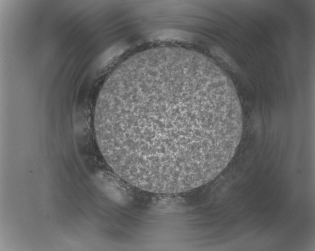 X0000080120824200612302008