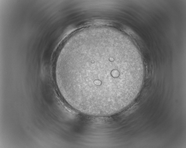 X0000080120828200612302008