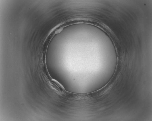 X0000080120830200612302008