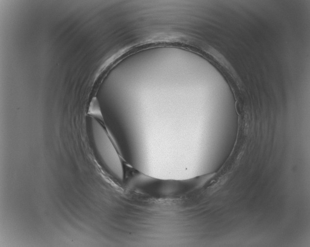 X0000080120834200612302008