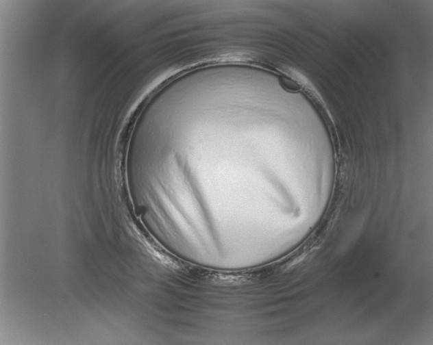 X0000080120835200612302008