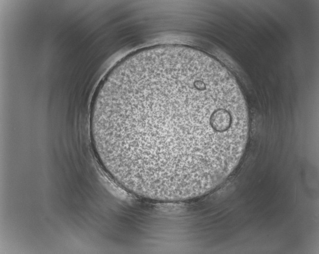 X0000080120836200612302008