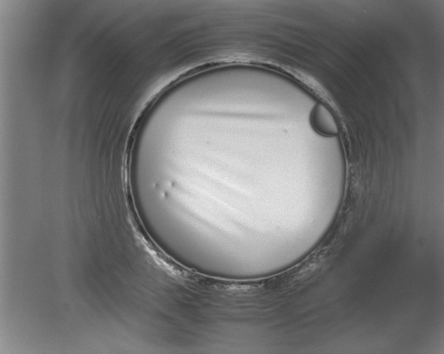 X0000080120839200612302008