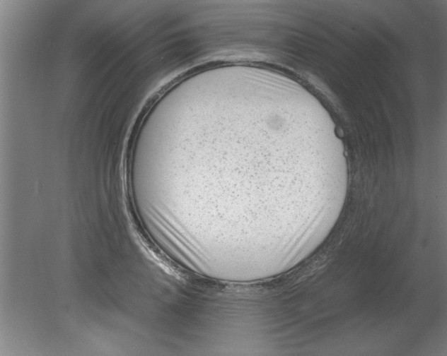 X0000080120840200612302008