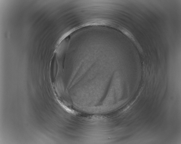 X0000080120842200612302008