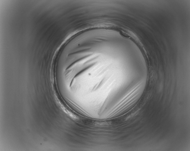 X0000080120843200612302008