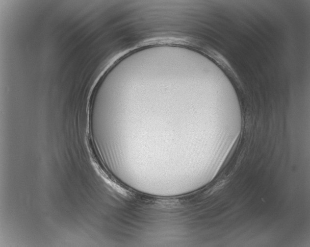 X0000080120844200612302008