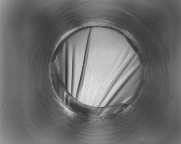 X0000080120846200612302008